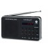 RADIO SUNSTECH RPDS32SL SINTONIZADOR ANALOGICO AM