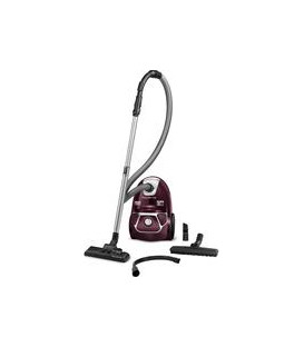 Aspirador con Bolsa Rowenta RO3969EA, Clase AAA