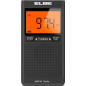 Radio Elbe RF94, radio digital bolsi Radio Elbe RF94, radio digital bolsi