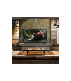 Tv OLED 55 LG OLED55B46LA, 4K, 120HZ, Smart webOS