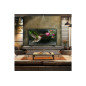 Tv OLED 55 LG OLED55B46LA, 4K, 120HZ, Smart webOS