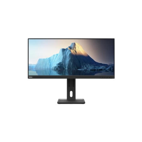 ThinkVision E29w-20 LED display 73,7 cm (29) 2560 x 1080 Pixeles UltraWide Full HD Negro