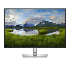 P Series P2425E pantalla para PC 61,1 cm (24.1) 1920 x 1200 Pixeles WUXGA LCD Negro