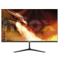 MONITOR 24 FHD HDMI DP 165 HZ