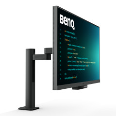 RD320UA pantalla para PC 80 cm (31.5) 3840 x 2160 Pixeles 4K Ultra HD LED Negro