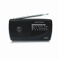 Radio Haeger PRTRI002A, handy am/fm/lw, multiband