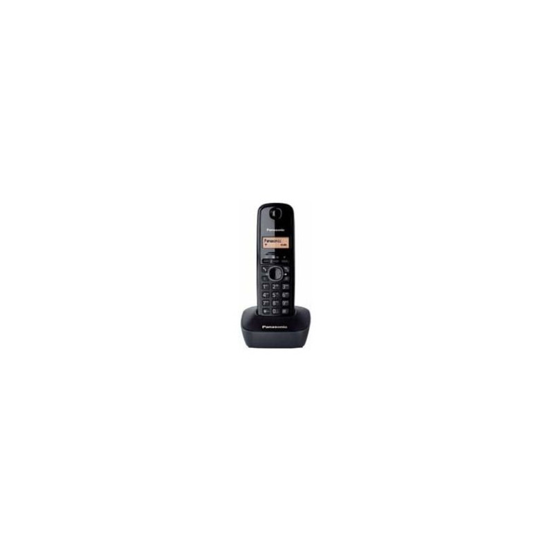 Telefono inalambrico Panasonic KXTG1611SPH Caribe