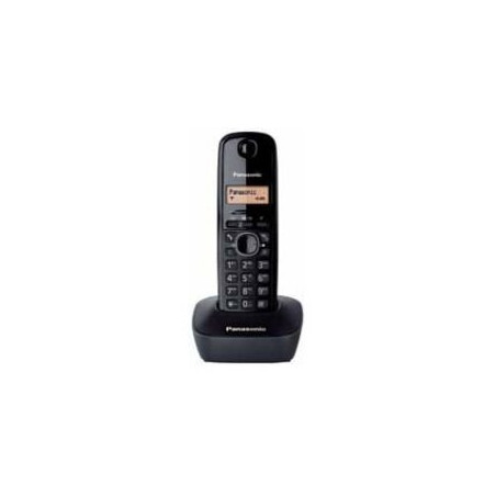 Telefono inalambrico Panasonic KXTG1611SPH Caribe