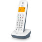 TELEFONO INALAMBRICO SPC 7300AS ID+ AG20, LUZ, 2 O TELEFONO INALAMBRICO SPC 7300AS ID+ AG20, LUZ, 2 O