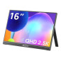 Z1RC 16 pantalla para PC 40,6 cm (16) 2560 x 1600 Pixeles 2.5K Negro