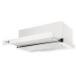 Campana Telescopica Fagor 3AF3646B, 60cm, 401m3/h