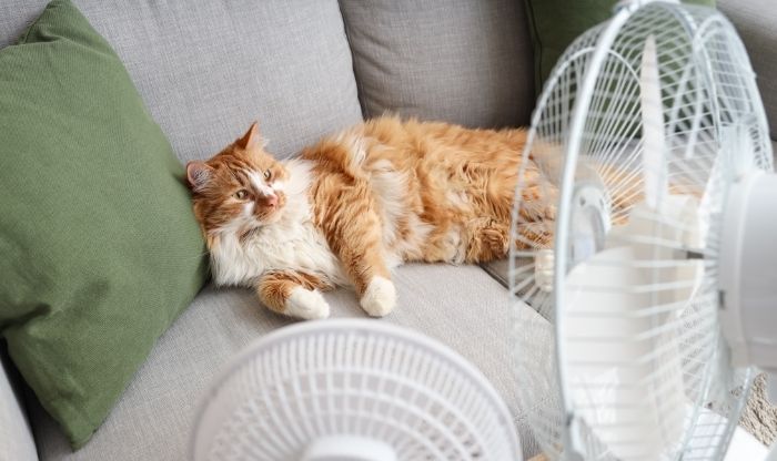 Cómo combatir el calor en Málaga este verano: encuentra la climatización perfecta para tu hogar