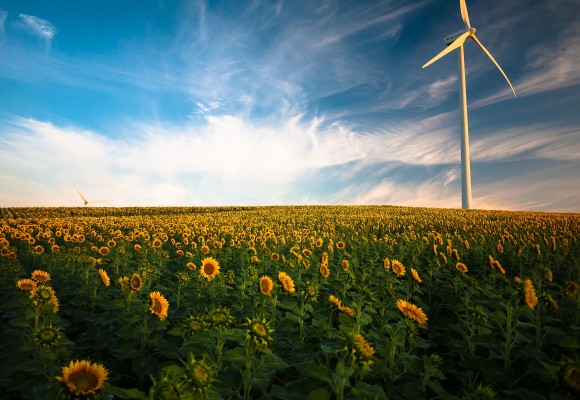 Cómo mejorar la eficiencia energética en tu hogar.